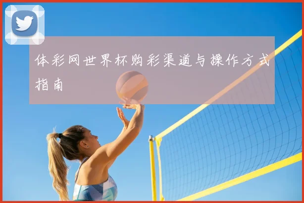 体彩网世界杯购彩渠道与操作方式指南