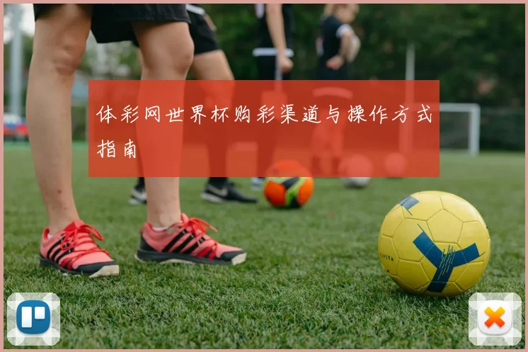 体彩网世界杯购彩渠道与操作方式指南