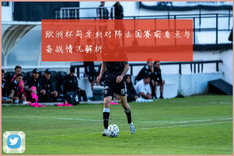 欧洲杯匈牙利对阵法国赛前看点与备战情况解析