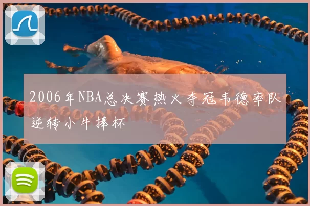 2006年NBA总决赛热火夺冠韦德率队逆转小牛捧杯