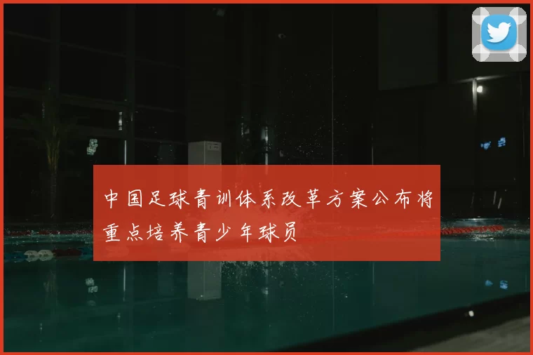 中国足球青训体系改革方案公布将重点培养青少年球员