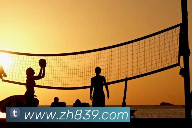 亚搏app登陆·(中国)官方网站平台生态图