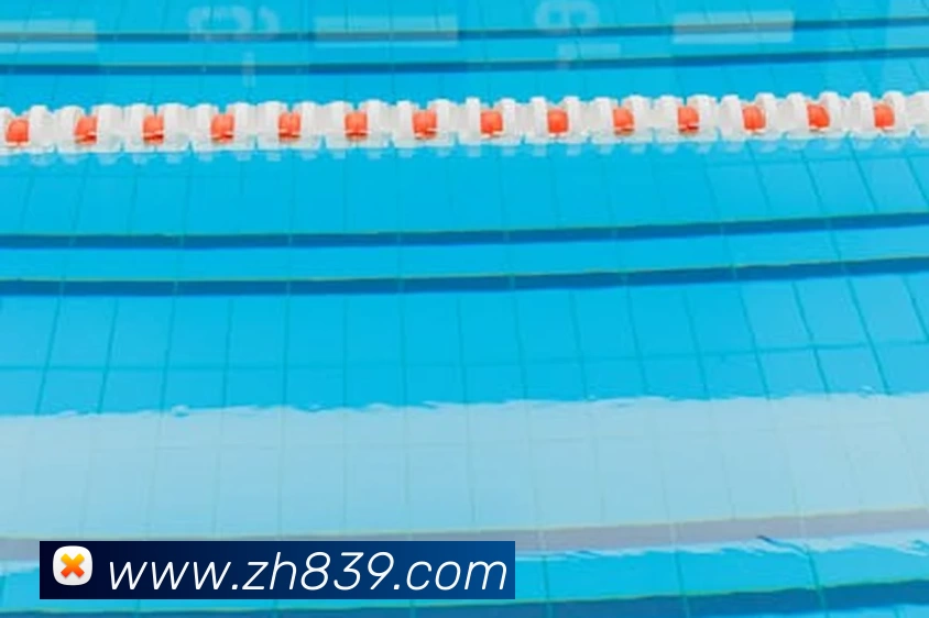 亚搏app登陆·(中国)官方网站APP 封面图